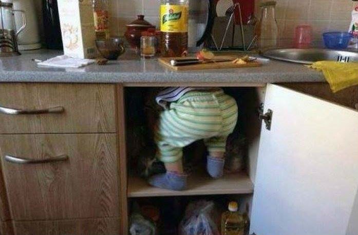 Ono kad tražiš nešto slatko