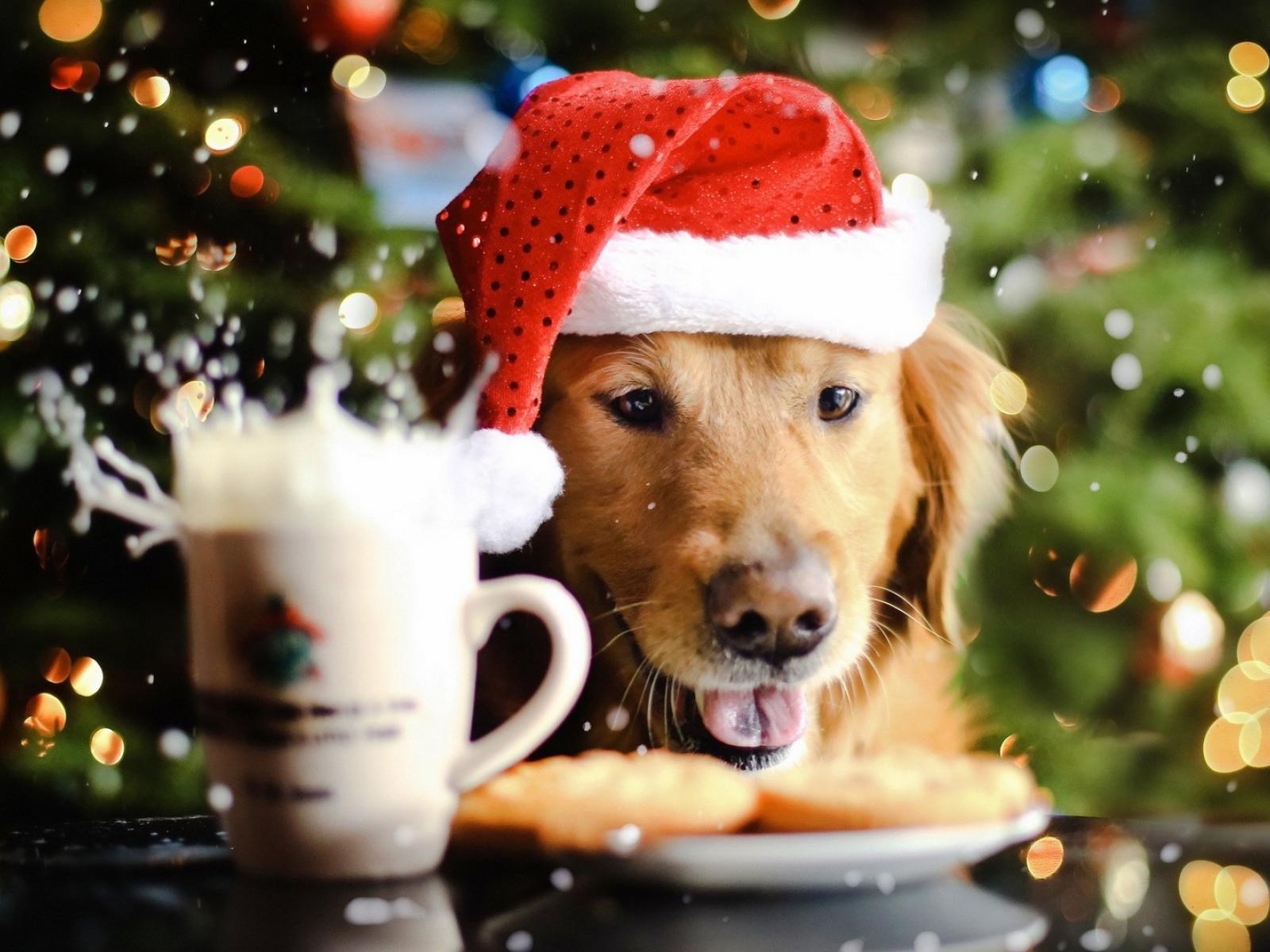 Iščekivanje raste, odoljeti kolačima je sve teže!