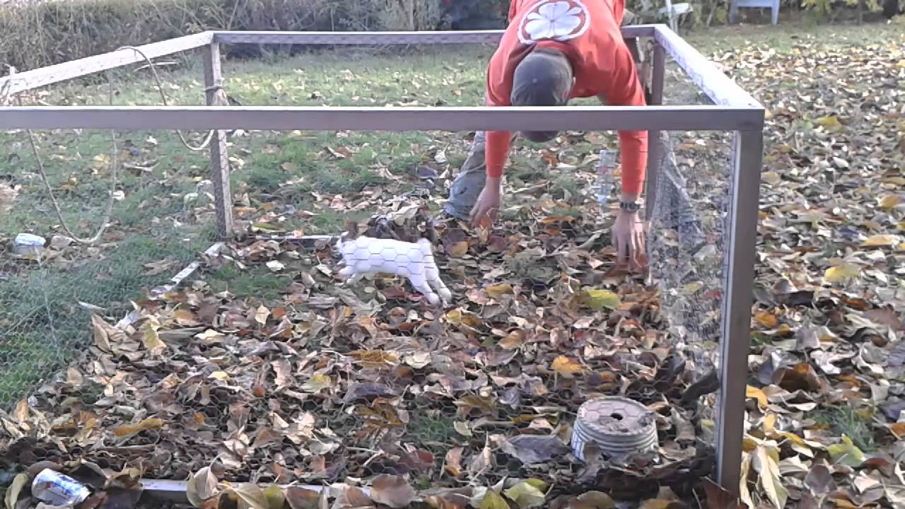 ZECOPAS: Spašeni zeko razvio neobičan hobi