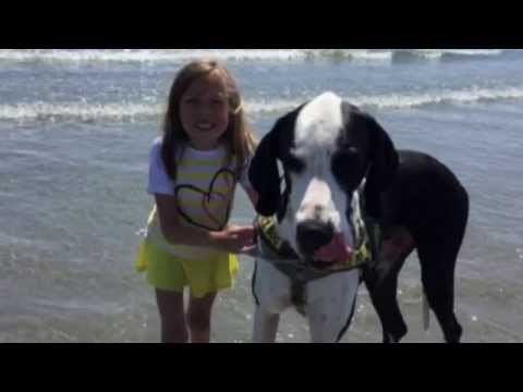 VIDEO: Bellu polako izdaju noge, ali tu je najveći prijatelj ikad da joj pokloni snagu svojih!