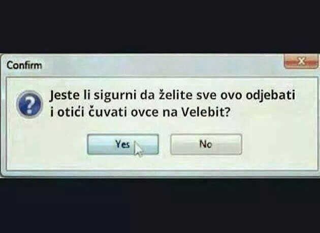 Sve kvragu i čuvat' ovce!