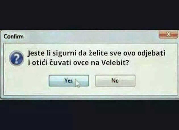 Sve kvragu i čuvat' ovce!