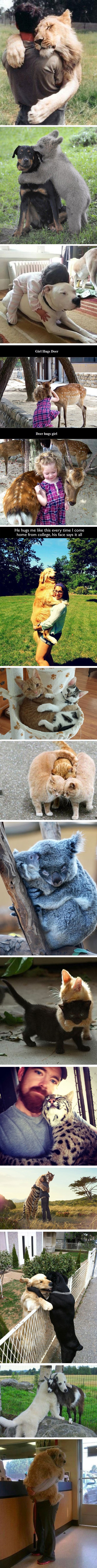 Galerija: I životinje ponekad trebaju topli zagrljaj