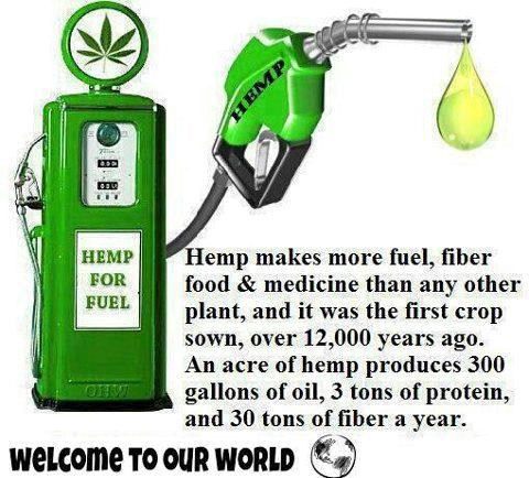 Prednosti konoplje: Zašto je ignoriramo?