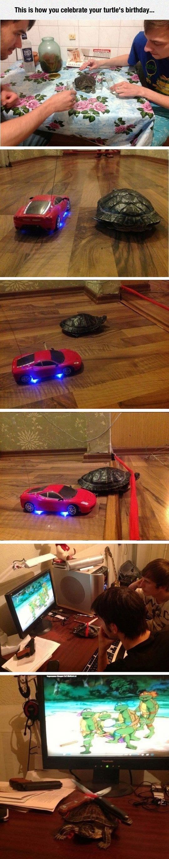 Ovi su muškarci odlučili proslaviti rođendan svoje kornjače na sjajan način