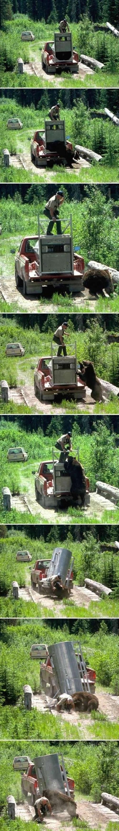 Nezahvalni medo napao šeptrljavog spasioca