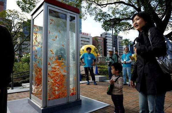 Stare telefonske govornice pretvorili u akvarije