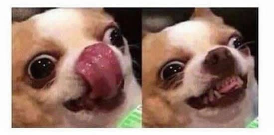 Kad umireš od gladi, a konobar ti nosi hranu