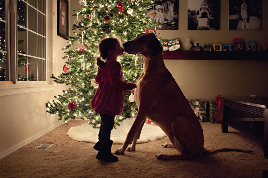 Dobri peso dobio lijepu božićnu pusu jer je pravi prijatelj