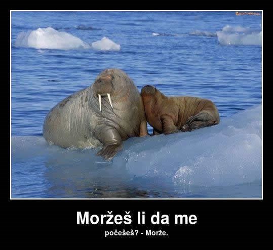 Malo lakih fora za petak