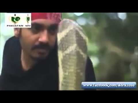 KAKAV PREOKRET: Kobra ga napala, on je poljubio