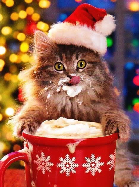 Božićnim delikatesama nitko ne može odoljeti