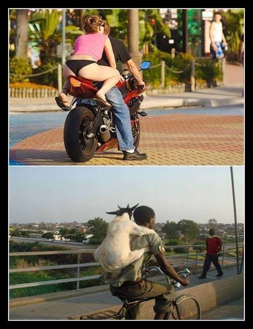 Koliko para - toliko muzike