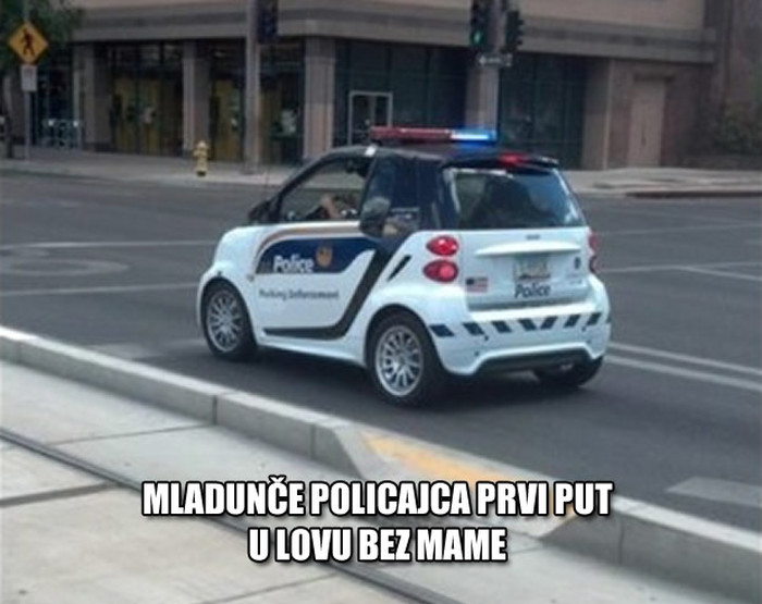 Teško je biti opaki murjak u ovoj igračkici