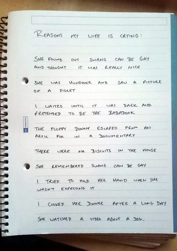 Objavio simpatičnu listu razloga zašto njegova žena plače