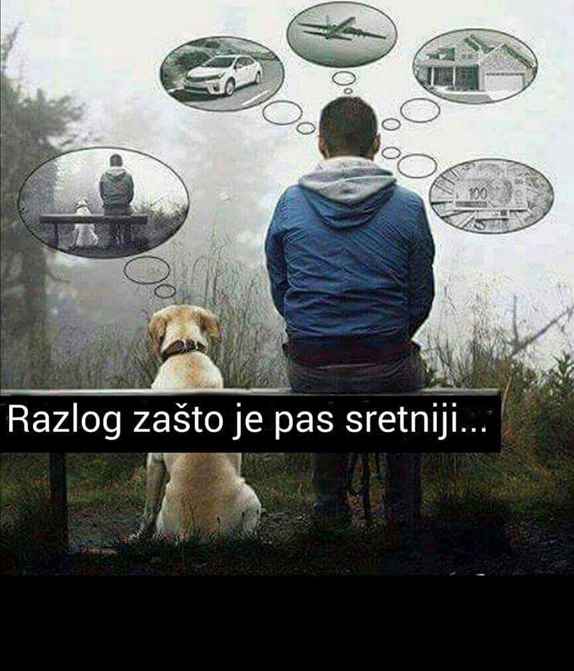 Znate li tajnu pseće sreće?