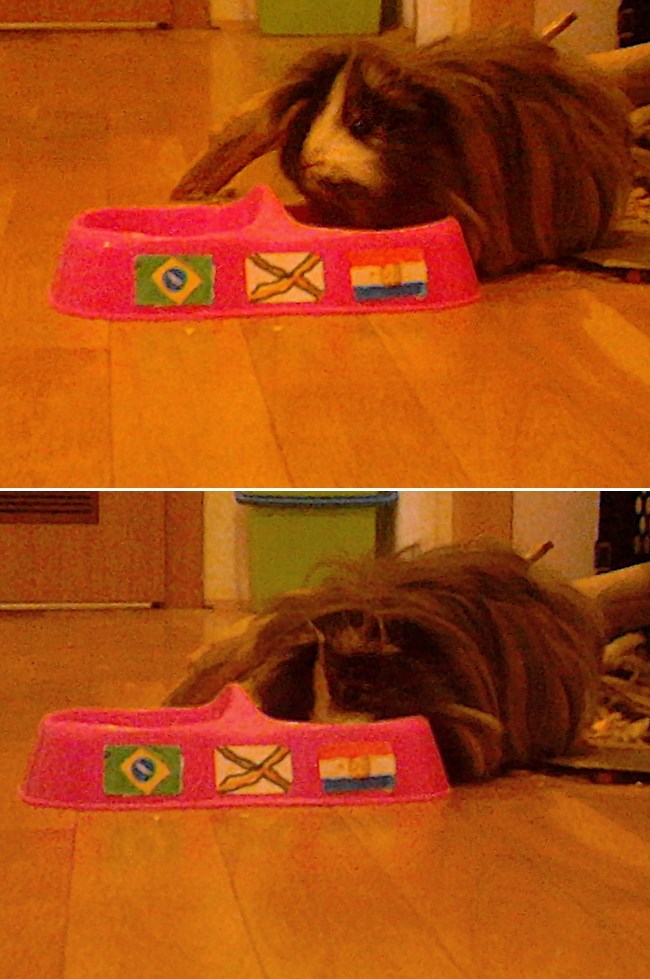 Brazil pognuo glavu: Zamorac Mrvica je rekao svoje