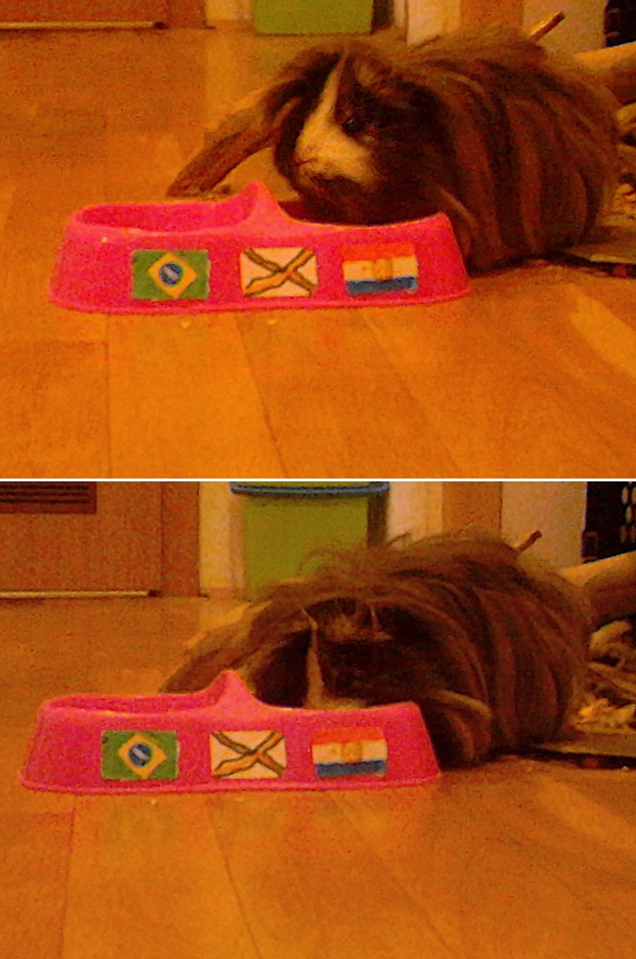 Brazil pognuo glavu: Zamorac Mrvica je rekao svoje