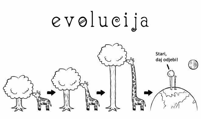 Kako ZAISTA funkcionira evolucija