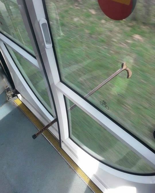 Ratnici plemena Penzić u lovu na krdo tramvaja