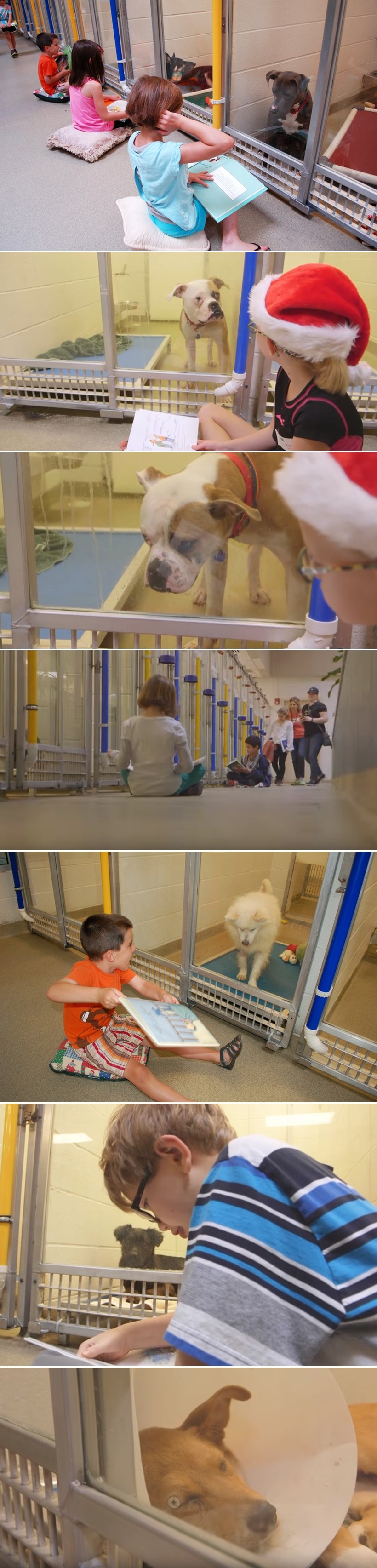 Razlog zašto ova dječica sjede s knjigama u azilu uljepšat će vam dan