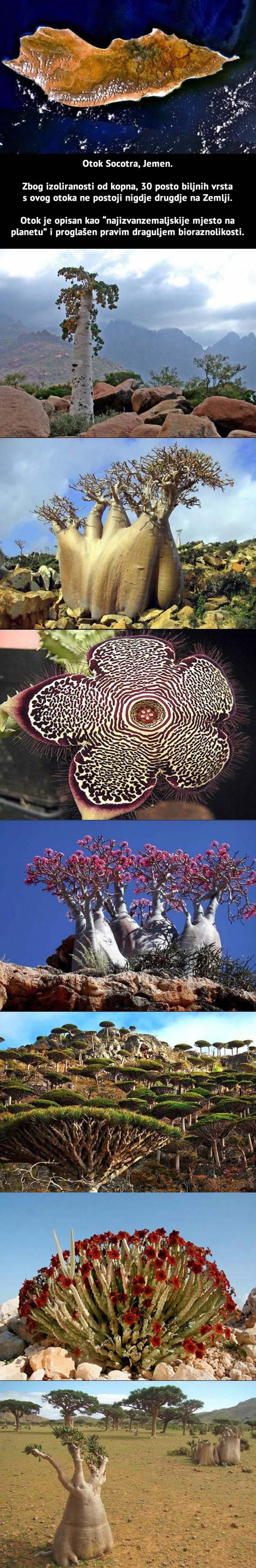 "Najizvanzemaljskije" mjesto na Zemlji