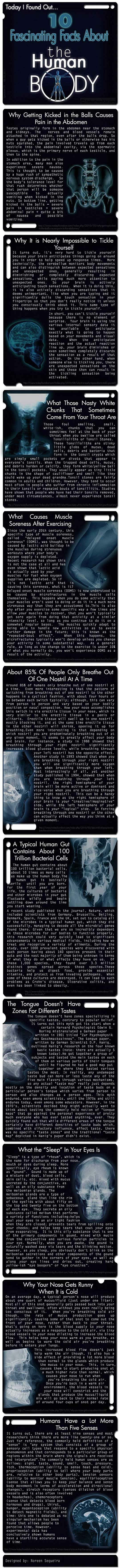 Zašto udarac u jaja boli?