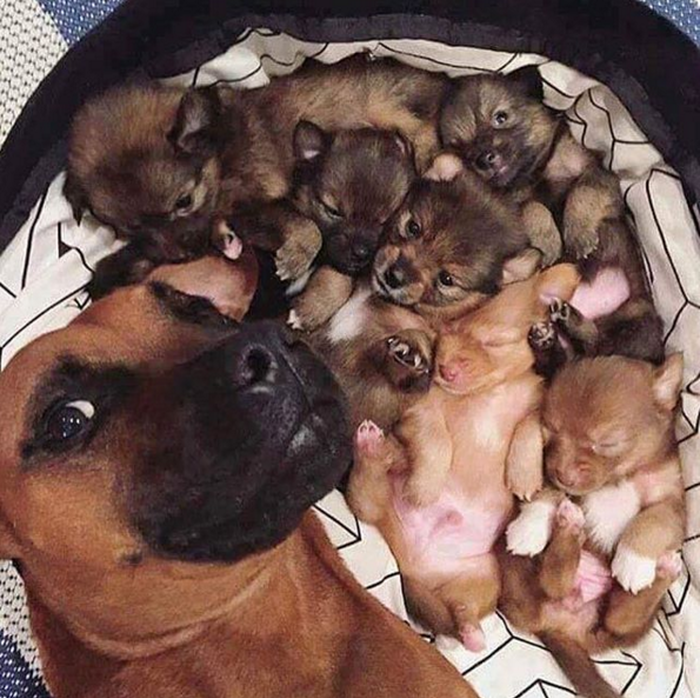 Selfie s klincima