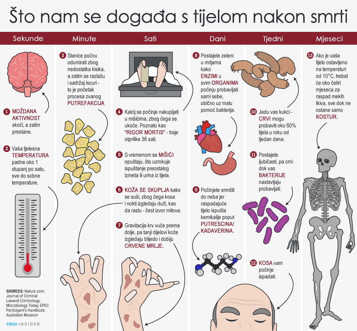 Što nam se događa s tijelom nakon smrti?