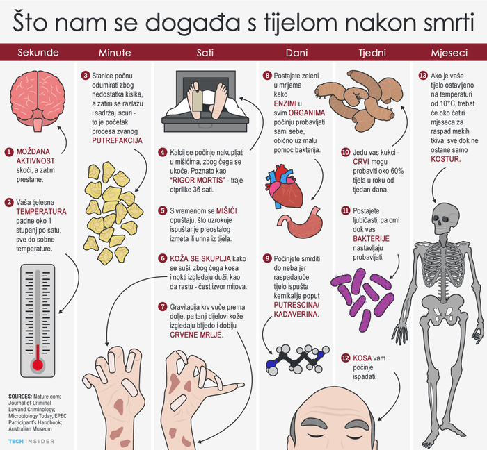 Što nam se događa s tijelom nakon smrti?