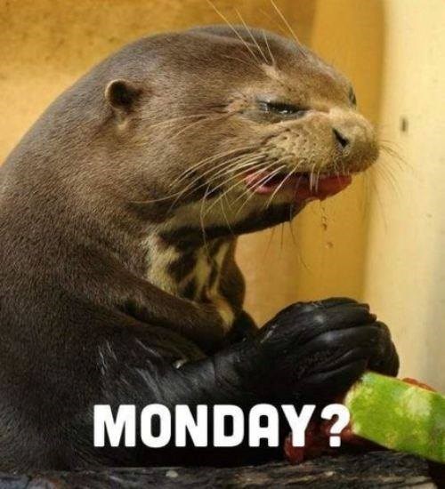 Bljeh, ponedjeljak, hvala bogu gotov