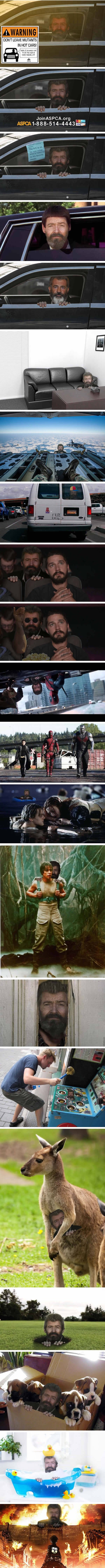 Nakon što je na internetu osvanula fotografija tužnog Hugh Jackman, započela je smiješna Photoshop bitka