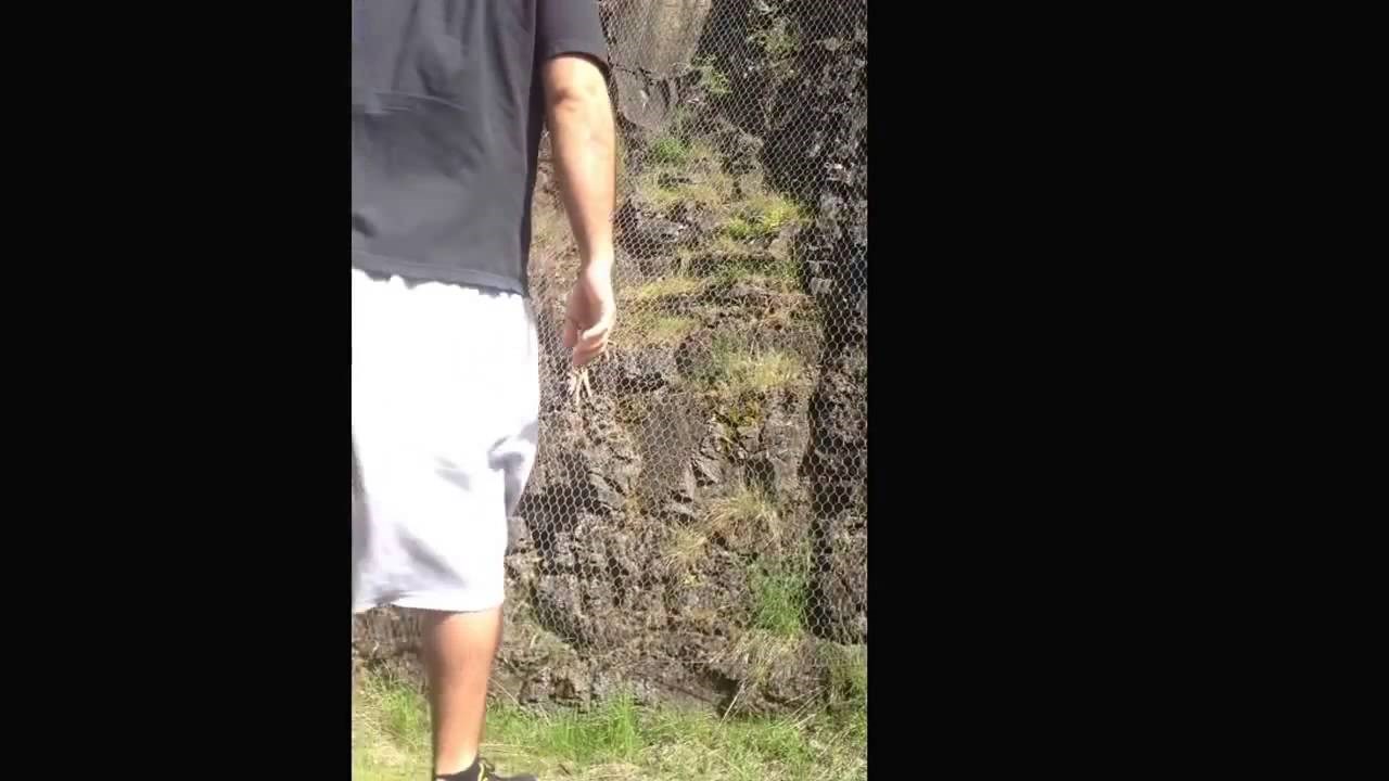 VIDEO: Herojski potez, zaustavio vozilo da spasi mladunče jelena