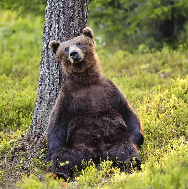 Emti život, treba malo odmorit