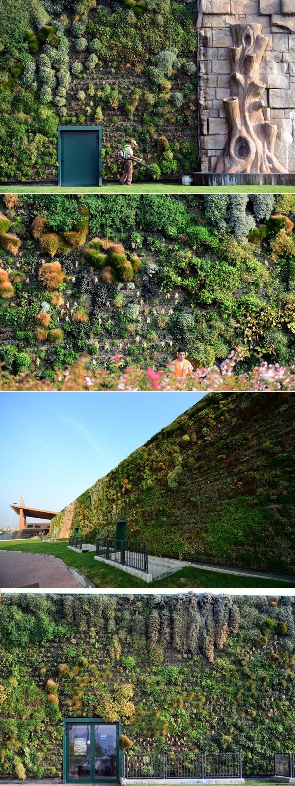 Najveći vertikalni vrt na svijetu