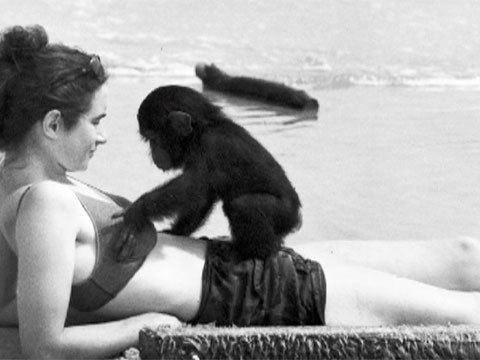 A šta vam je ovo, gospođo, meni je to jako zanimljivo