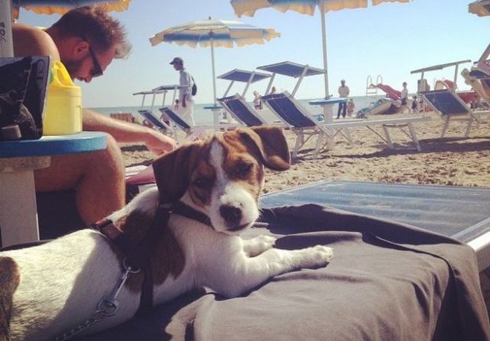 ČLANAK: Na ovu talijansku plažu ne smijete doći bez svog ljubimca
