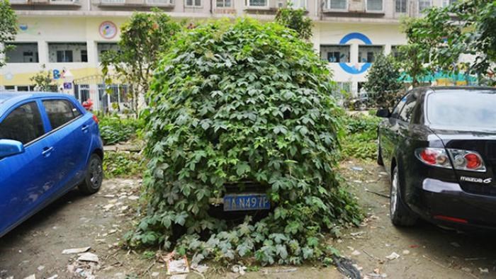 Pa ti ostavi auto na parkingu dok si na godišnjem