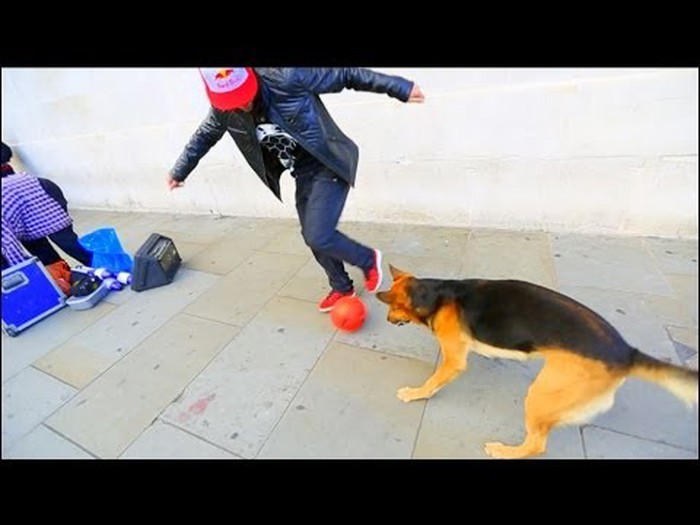 VIDEO: Jedan na jedan četveronožni fan loptice namučio Seana Garniera