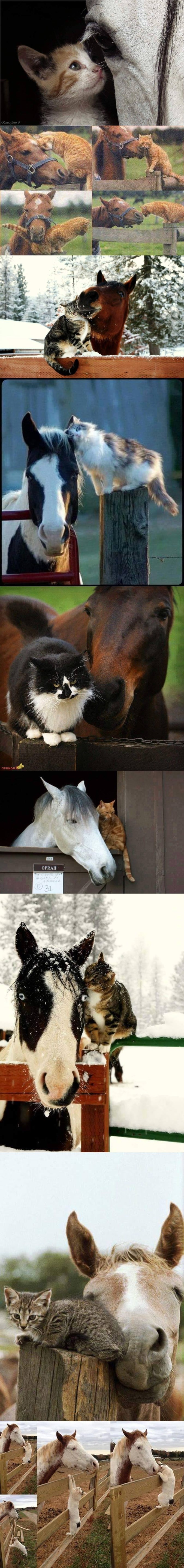 ima neka tajna veza..:))