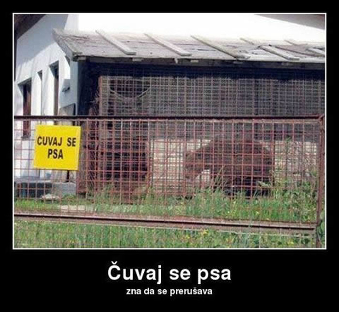 Čuvaj se psa-medvjeda-nindže