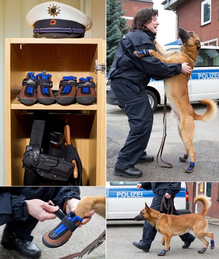 Njemački policijski psi na dužnosti moraju biti uniformirani