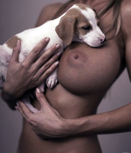 Kad te proždire ljubomora na psića:)