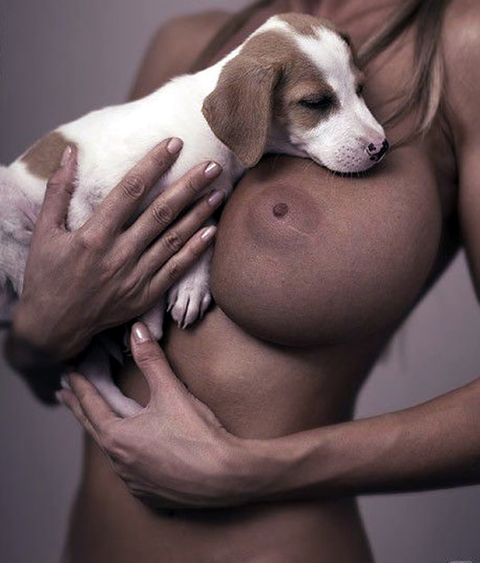 Kad te proždire ljubomora na psića:)