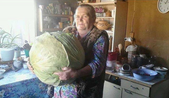 Ono kada baki kažeš da ćeš pojesti samo jednu sarmu