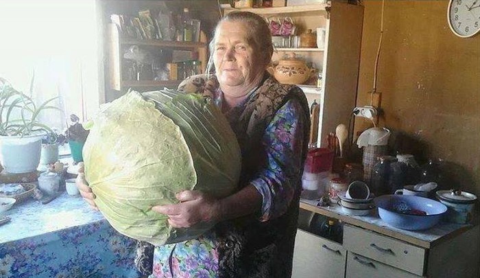 Ono kada baki kažeš da ćeš pojesti samo jednu sarmu