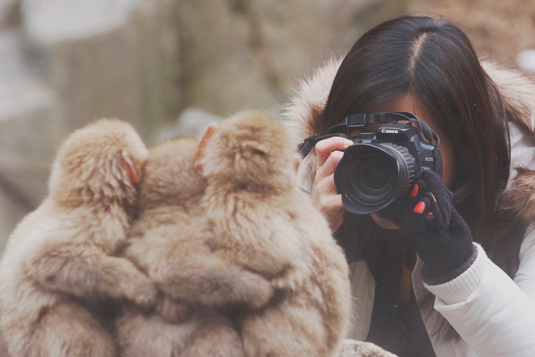 Čak i životinje danas znaju pozirati za profilnu
