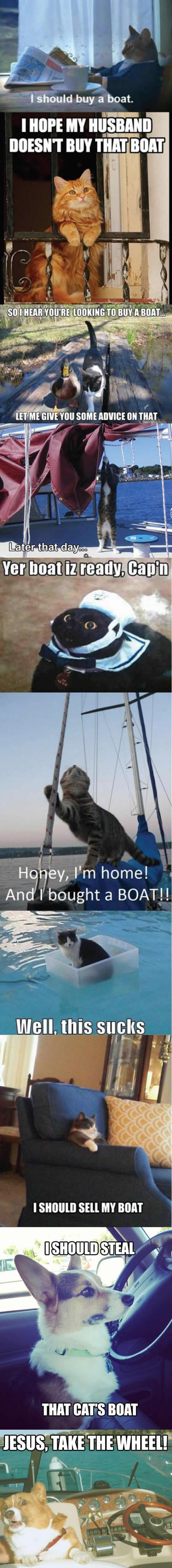 Avanture jedne mačke dok si ti na poslu