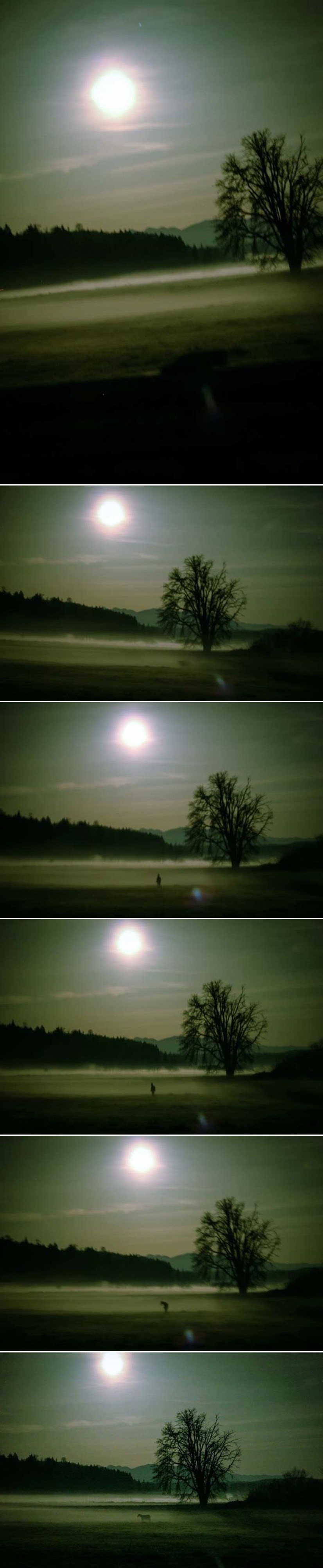 NOĆNI FOTOGRAF SNIMIO UŽAS: Na napuštenom polju uhvatio nešto jezivo, prepoznajete li što je?