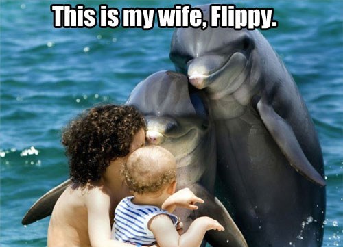 Dobri dupin klincu predstavio svoju dragu